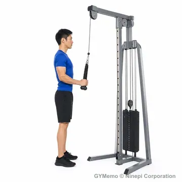 ケーブルプレスダウンの開始姿勢