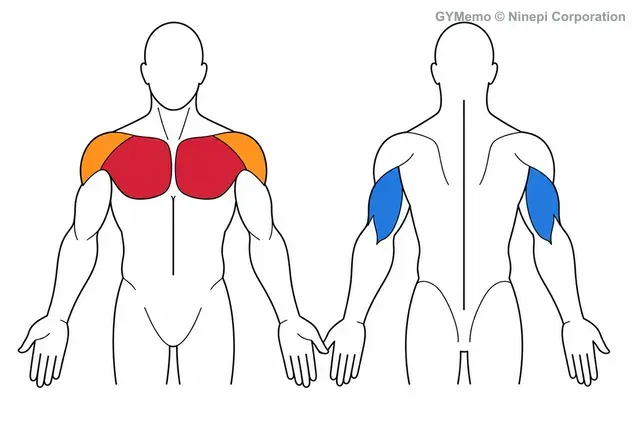 足上げベンチプレス(足をベンチの上)で主に鍛える筋肉の図
