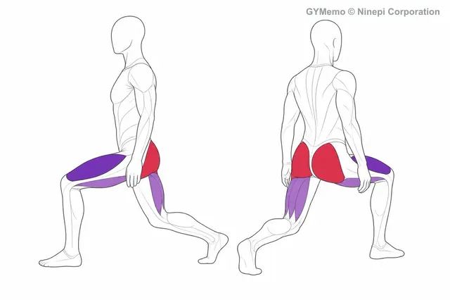 フロントランジで主に鍛える筋肉の図
