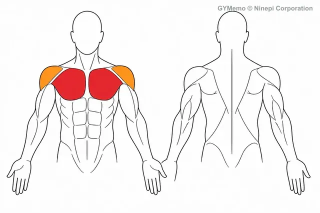 ハイ・トゥ・ロー・ケーブルフライで主に鍛える筋肉の図