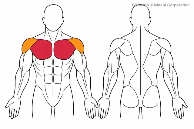 インクラインダンベルフライで主に鍛える筋肉の図