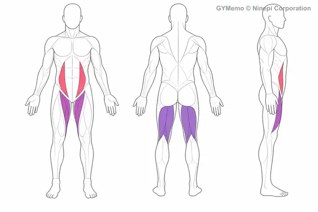 レッグスイングで主に鍛える筋肉の図